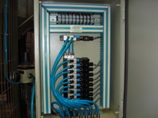 photo7.jpg